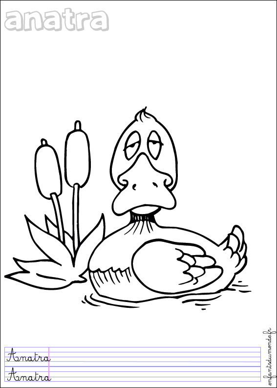 coloriage canard 1